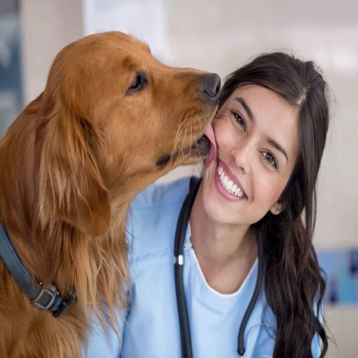 Animal Health Center Picture 1