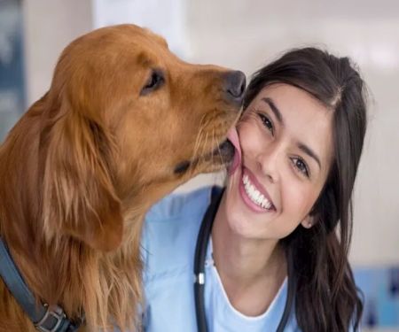 Animal Health Center