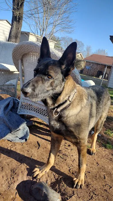 Animal Health Center Picture 9