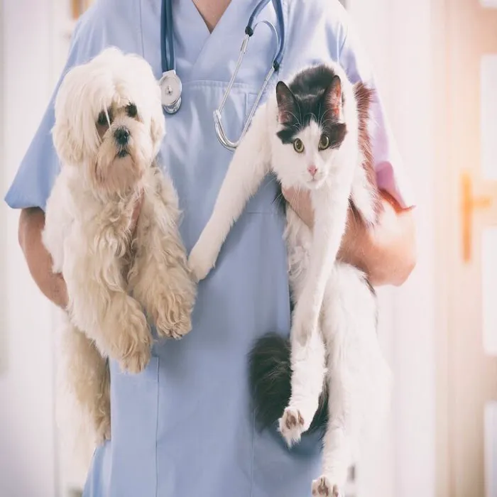 Animal Health Center Picture 4