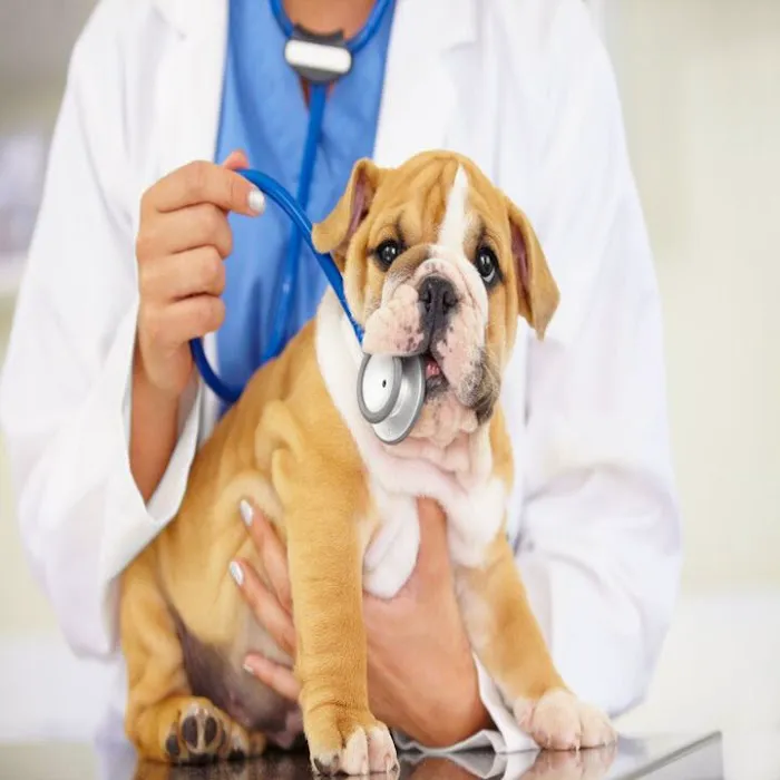 Animal Health Center Picture 6