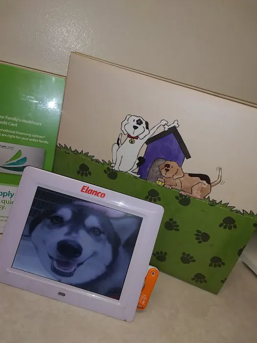 Vetco Total Care - Caddo Animal Clinic Picture 2