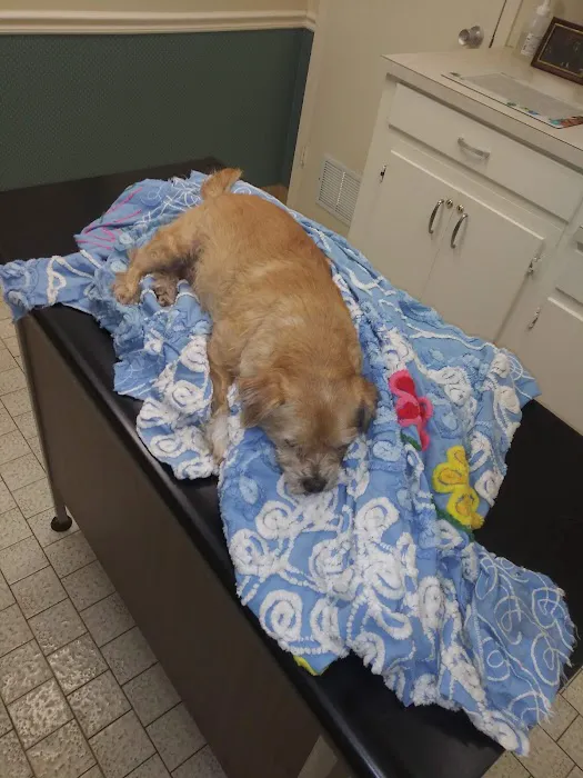 Vetco Total Care - Caddo Animal Clinic Picture 5