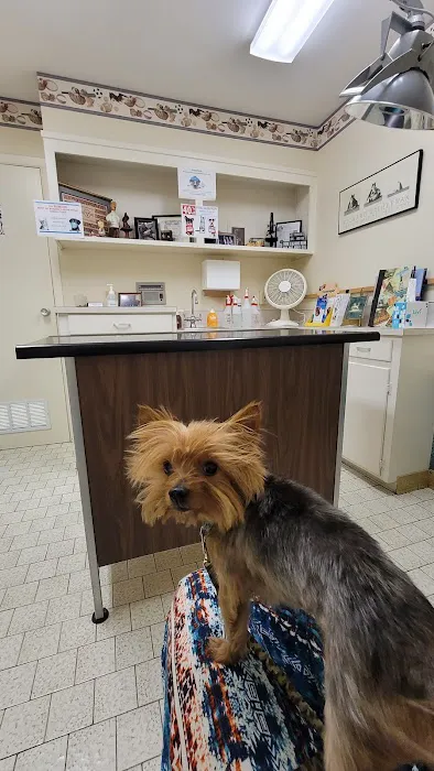 Vetco Total Care - Caddo Animal Clinic Picture 3