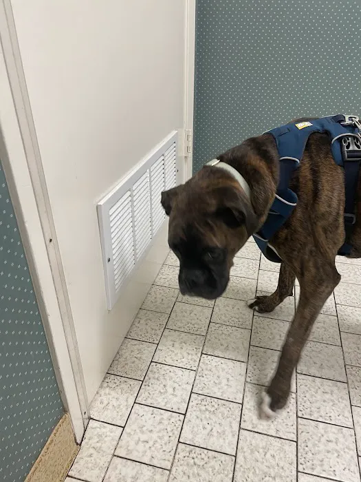 Vetco Total Care - Caddo Animal Clinic Picture 8