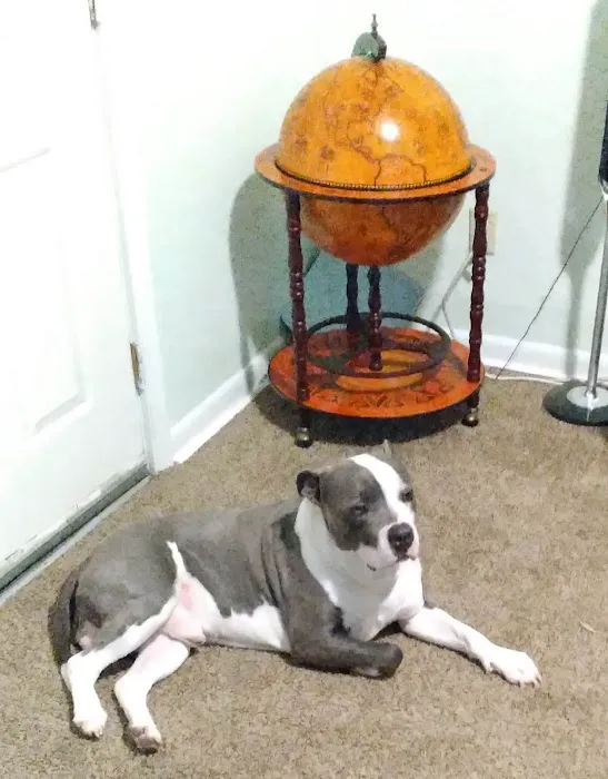 Vetco Total Care - Caddo Animal Clinic Picture 10