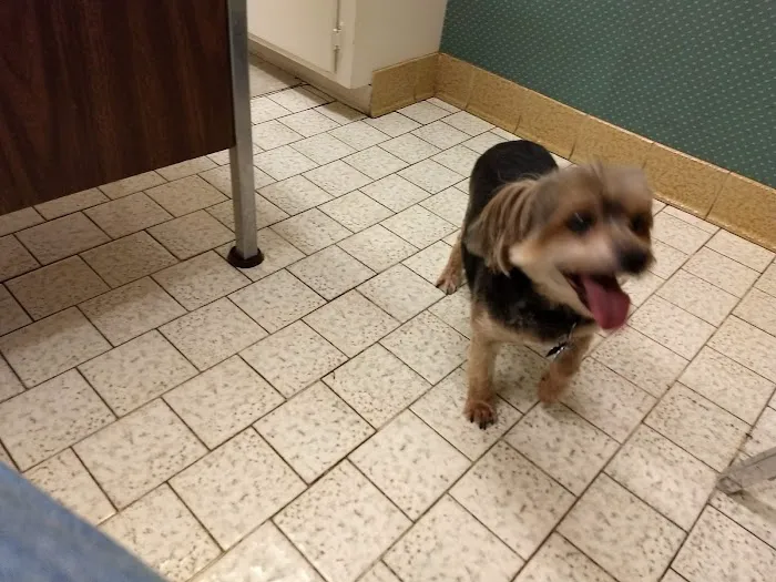 Vetco Total Care - Caddo Animal Clinic Picture 9