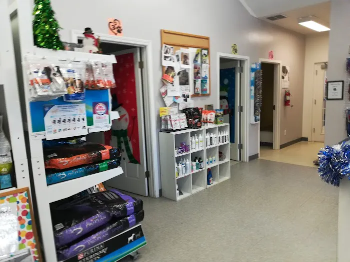 Brookings Animal Hospital Picture 5