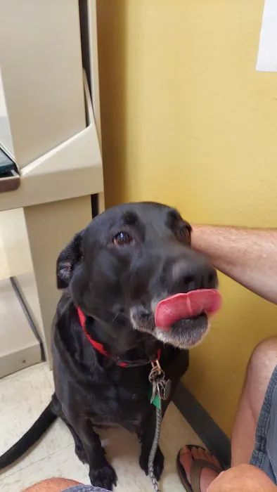 Brookings Animal Hospital Picture 8