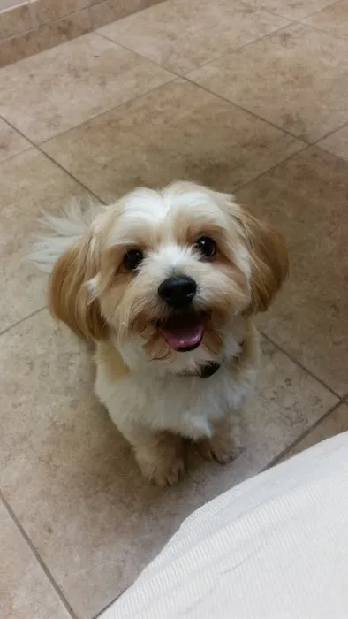 Southern Hills Animal Hospital Picture 8