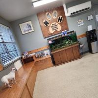 North Shreveport Animal Hospital ico