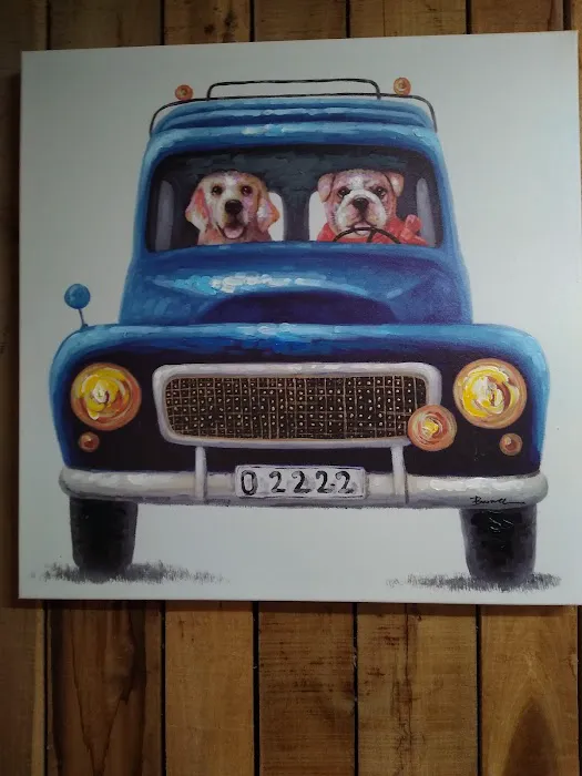 JB Harris DVM Mobile Veterinary Services Picture 9