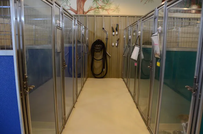 Tennessee Valley Animal Clinic Picture 3