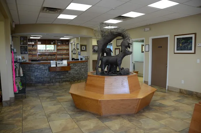 Tennessee Valley Animal Clinic Picture 2