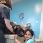 Quad-Cities Animal Hospital