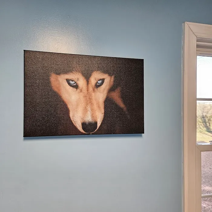 Quad-Cities Animal Hospital Picture 6