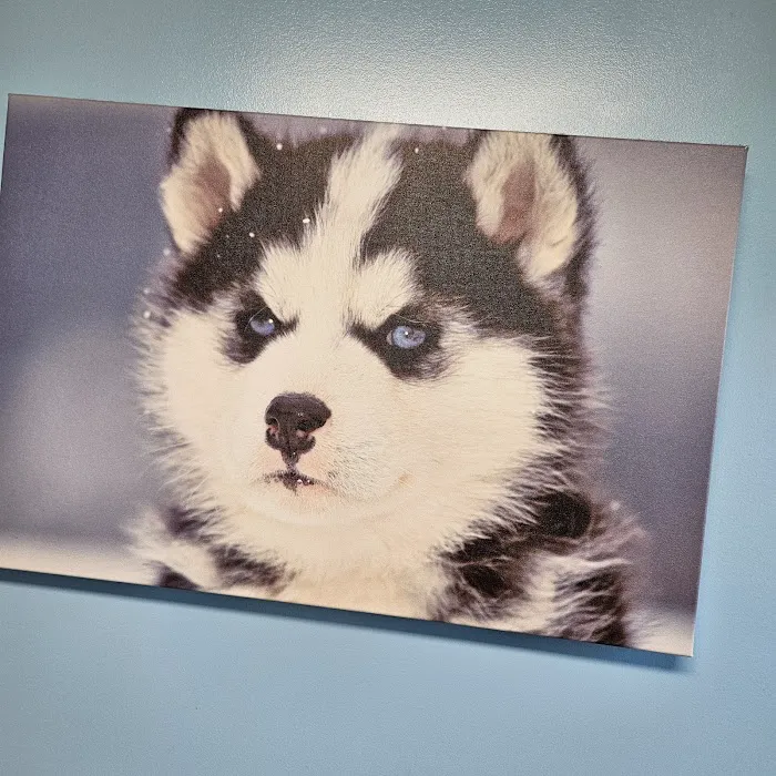 Quad-Cities Animal Hospital Picture 4