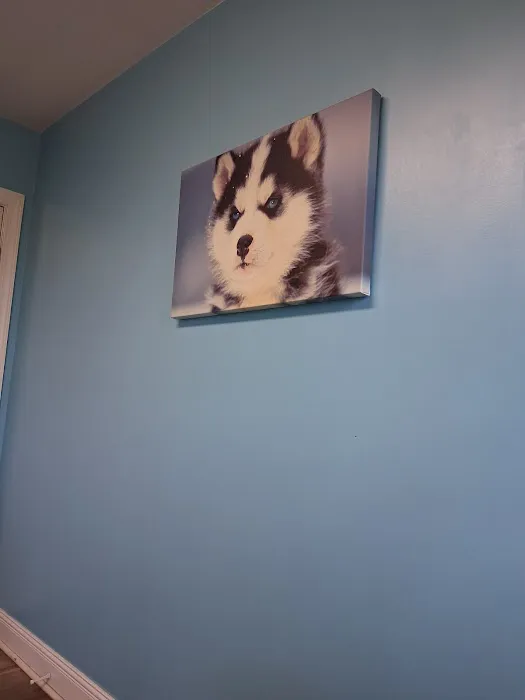 Quad-Cities Animal Hospital Picture 10