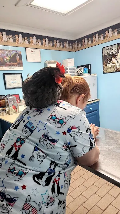 Colbert Animal Clinic Picture 8