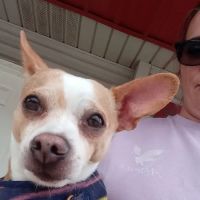 Crow Veterinary Clinic ico