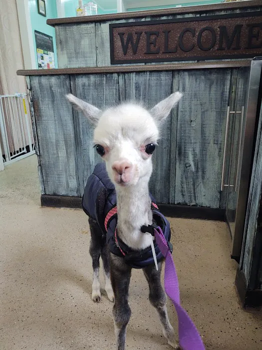 Crow Veterinary Clinic Picture 7