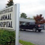 Scottsville Animal Hospital