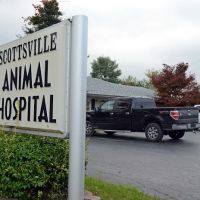 Scottsville Animal Hospital ico