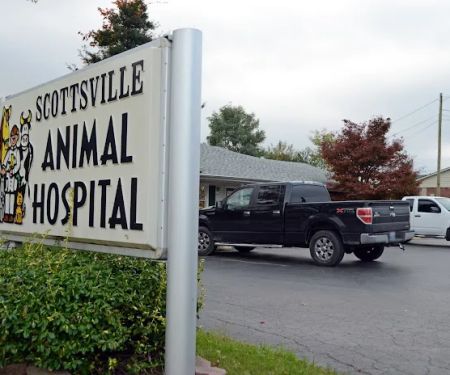Scottsville Animal Hospital