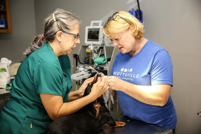 Scottsville Animal Hospital Picture 2