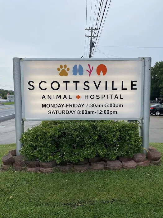 Scottsville Animal Hospital Picture 7