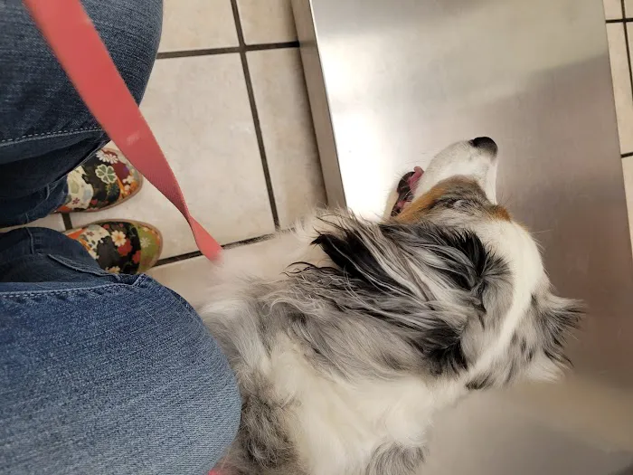 Portland Animal Hospital Picture 6