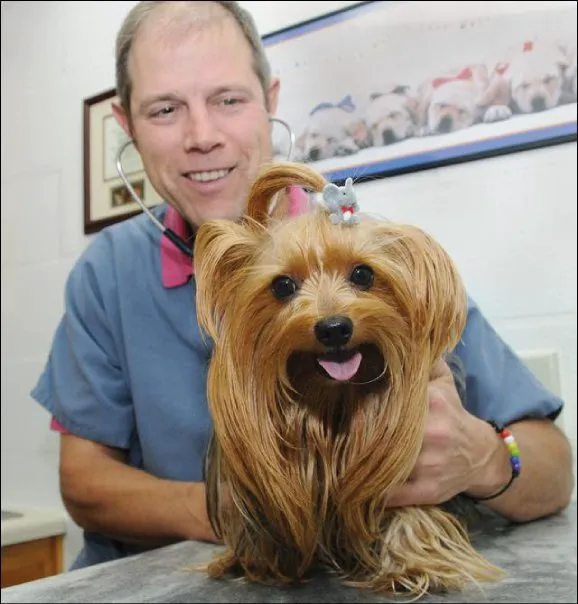 Dalton Animal Care (South) Picture 8