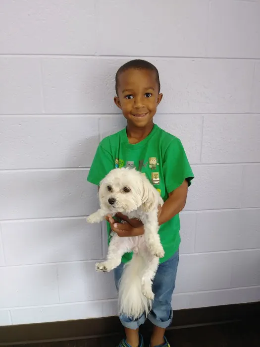 Zutilla Pet Clinic Picture 5