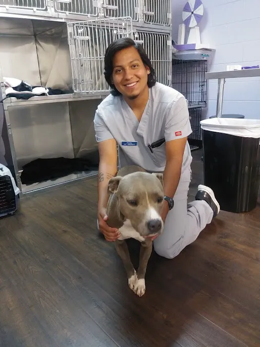 Zutilla Pet Clinic Picture 1
