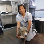 Zutilla Pet Clinic
