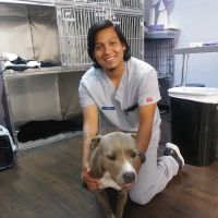 Zutilla Pet Clinic ico