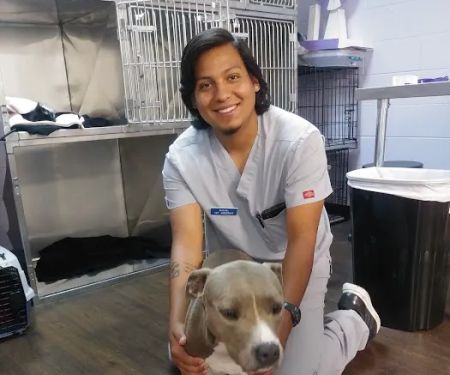 Zutilla Pet Clinic