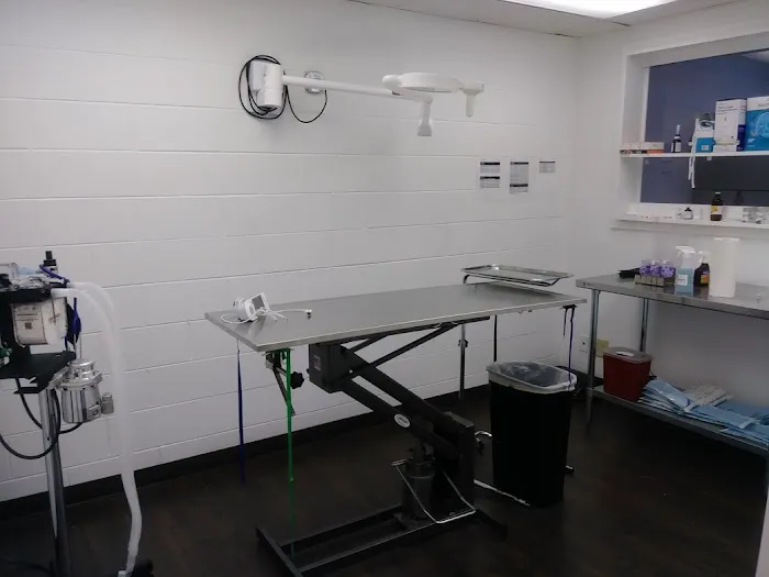 Zutilla Pet Clinic Picture 7