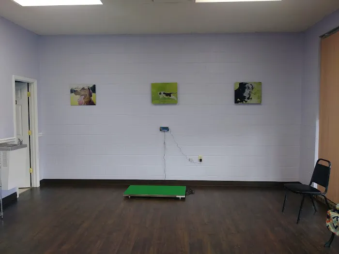 Zutilla Pet Clinic Picture 10