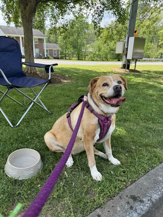Dogwood Veterinary Medical Center Picture 1