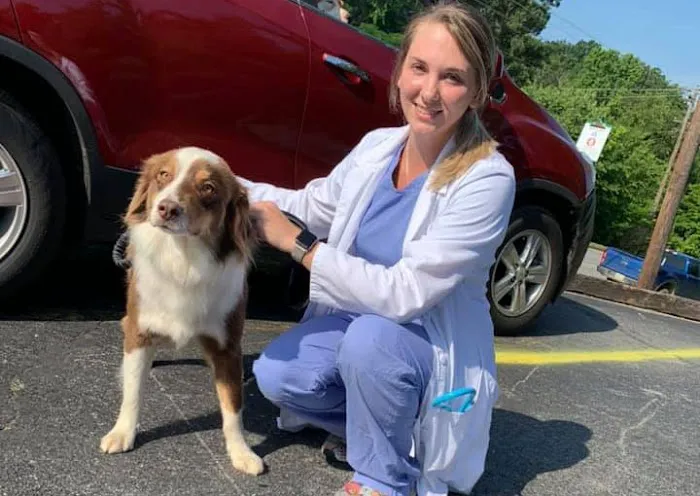 Animal Hospital of Gordon County Picture 5