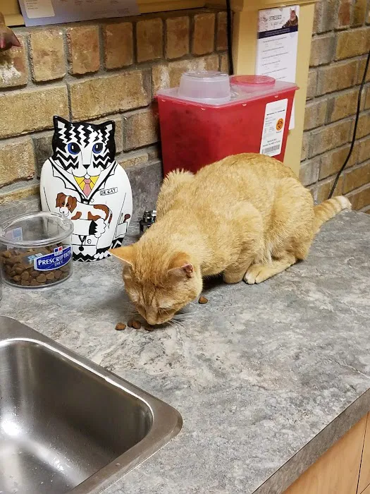 Mount Berry Animal Hospital Picture 3