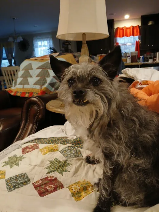 Mount Berry Animal Hospital Picture 2