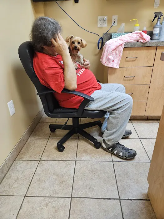 Mount Berry Animal Hospital Picture 6