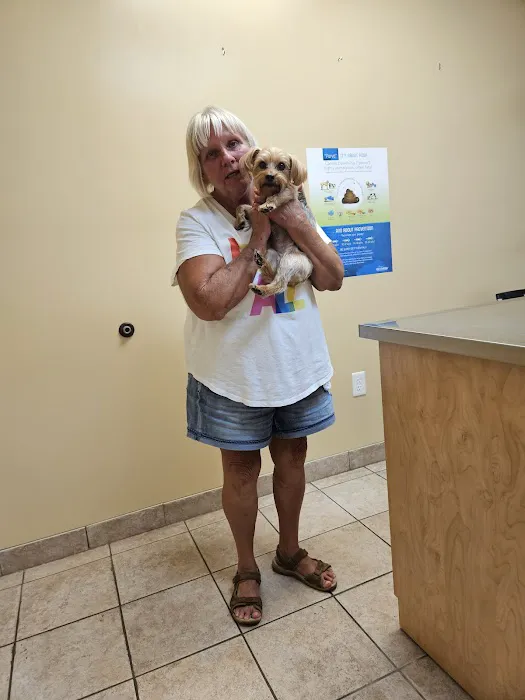 Mount Berry Animal Hospital Picture 7
