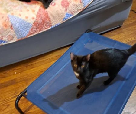 Possum Trot Veterinary Clinic