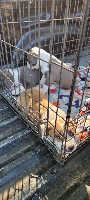 Possum Trot Veterinary Clinic Picture 8