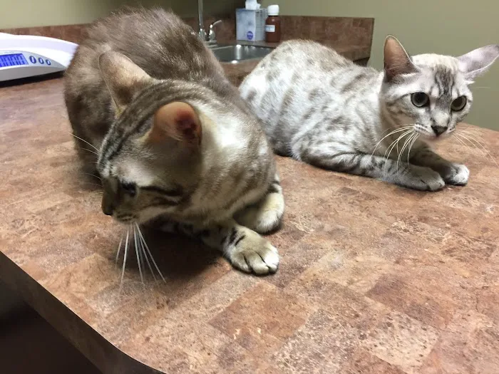West Rome Animal Clinic Picture 3