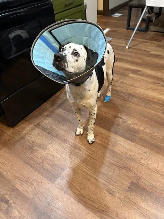 Northwest Georgia Veterinary Emergency Center Picture 7
