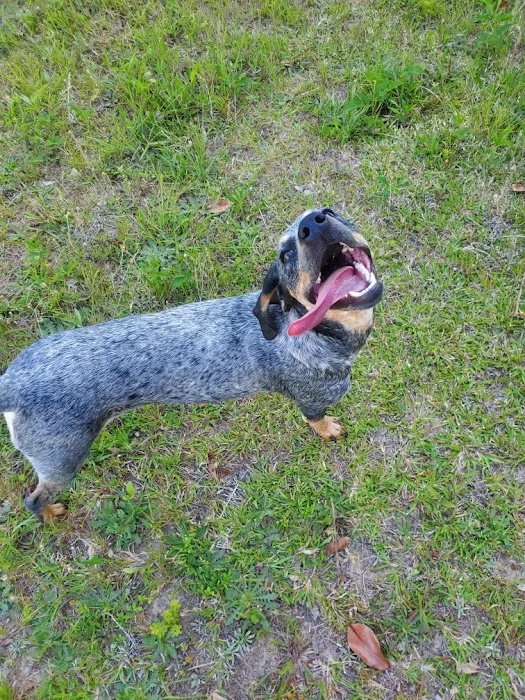 Northwest Georgia Veterinary Emergency Center Picture 9